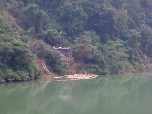 Tree cutting that uses the river to float and transport logs.